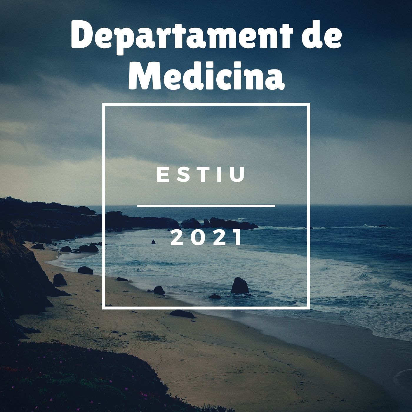 Image de la noticia